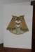 cards_esfslbowlcard061610_small.jpg