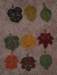 fsl_fslfallleaves092311_small.jpg