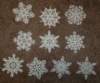 fslsnowflakes_011017_small.jpg